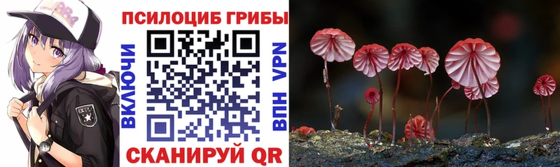 Псилоцибиновые грибы Psilocybe Костомукша