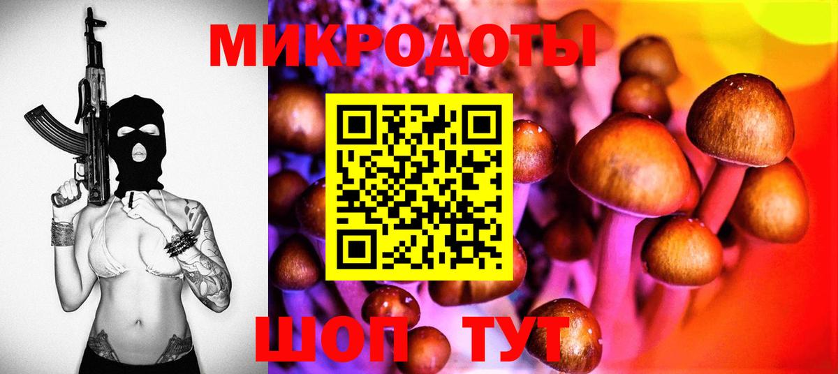Галлюциногенные грибы Cubensis Костомукша