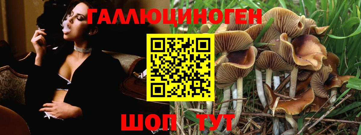 Костомукша  Галлюциногенные грибы Psilocybine cubensis  Псилоцибиновые грибы MAGIC MUSHROOMS  Вход с VPN 